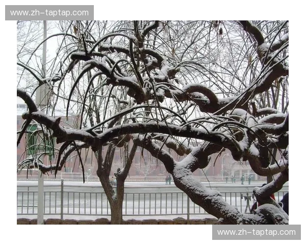 雷霆二月攻防转换速度联盟第一 年轻阵容冲击力成西区搅局者